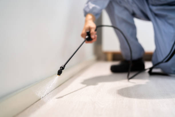 Rodent Entry Point Assessment in Melbourne