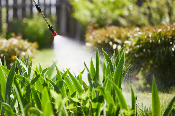 Tamper-Resistant Bait Stations for Rodents in Melbourne