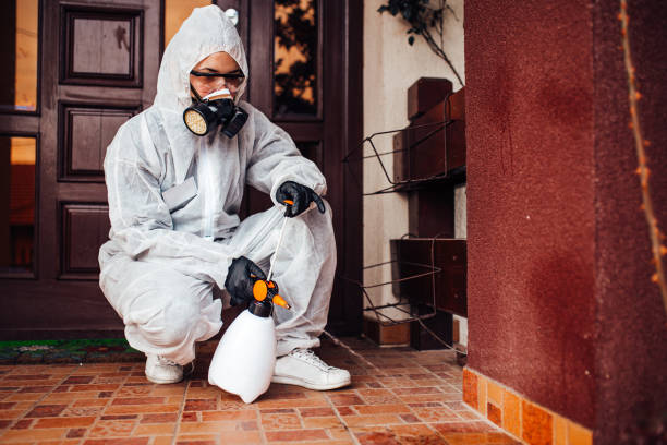 Attic and Crawl Space Rodent Treatment in Melbourne